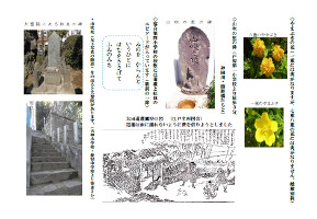 新宿と伝説